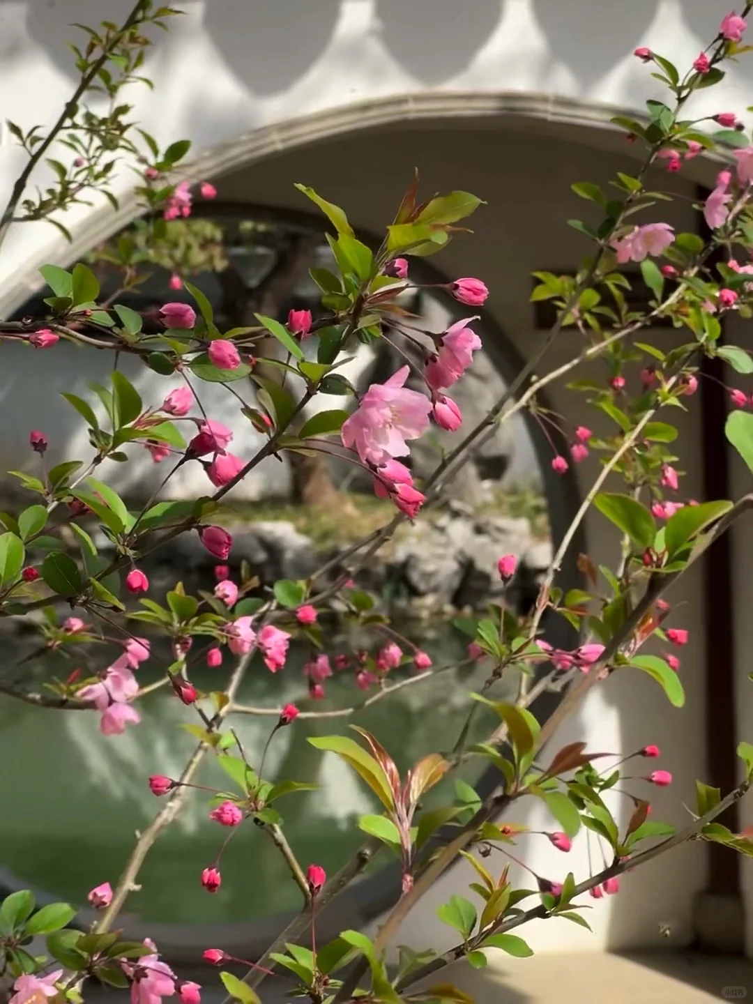 愿每个4-5🈷来苏州的宝子都能看到这篇