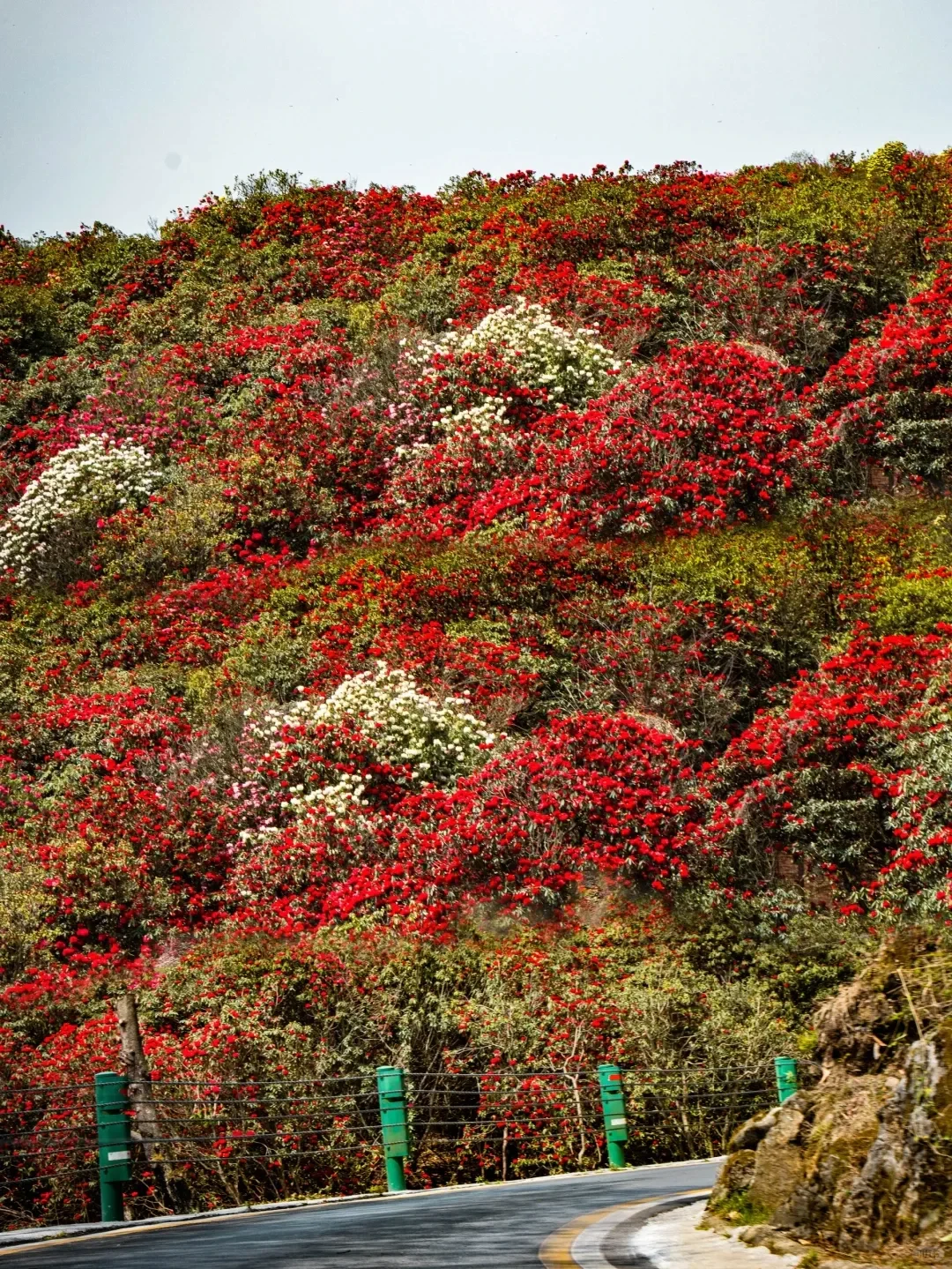 贵州5日游已回，帮大家避雷！！