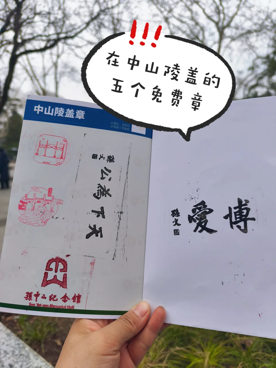 带娃去南京中山陵前不知道这些你会后悔的！