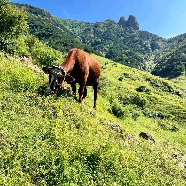 大学生日照旅游打卡攻略！|日照特产来日