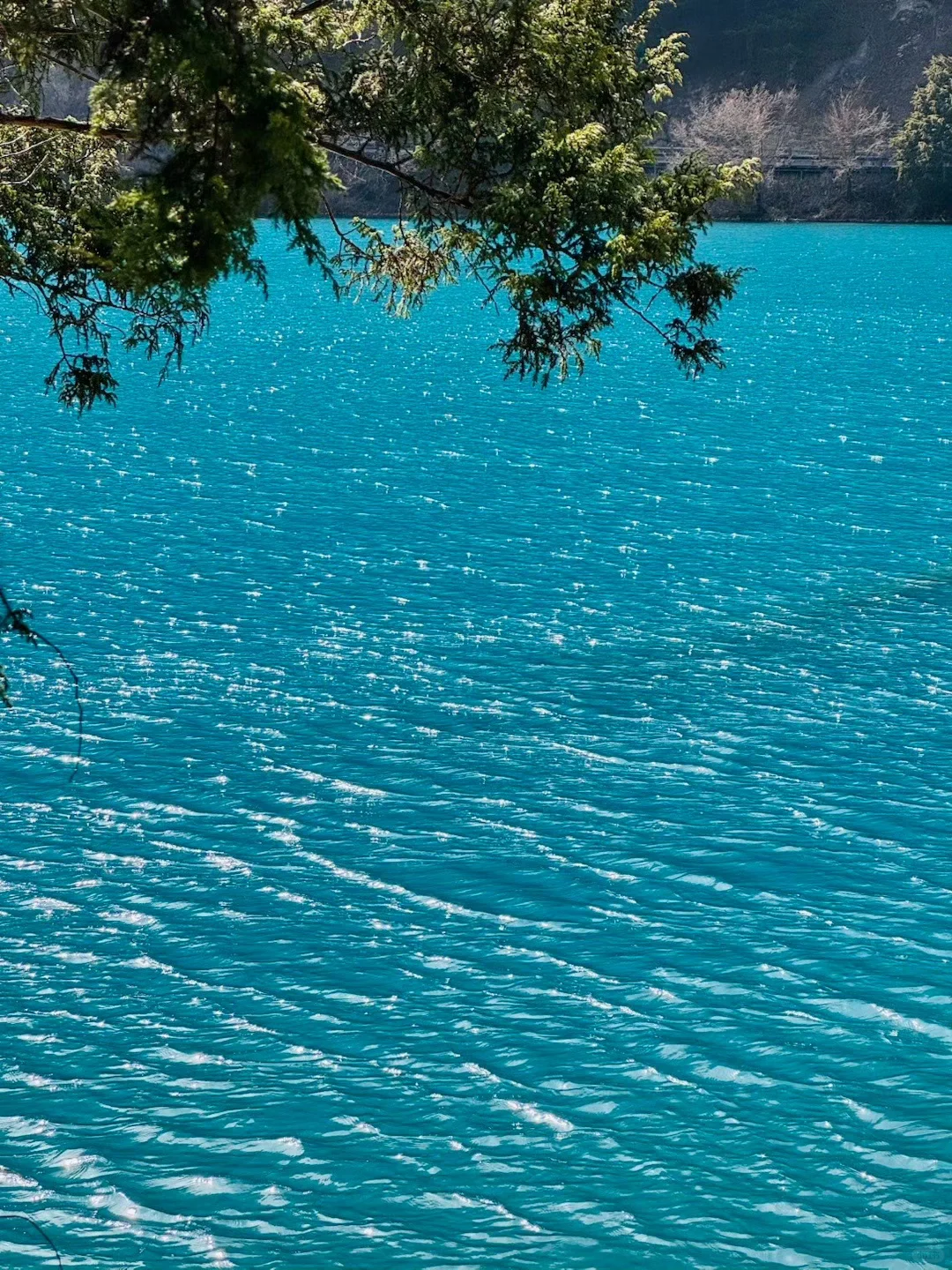 端午亲子游🔥九寨沟3天2晚不废脚攻略✅