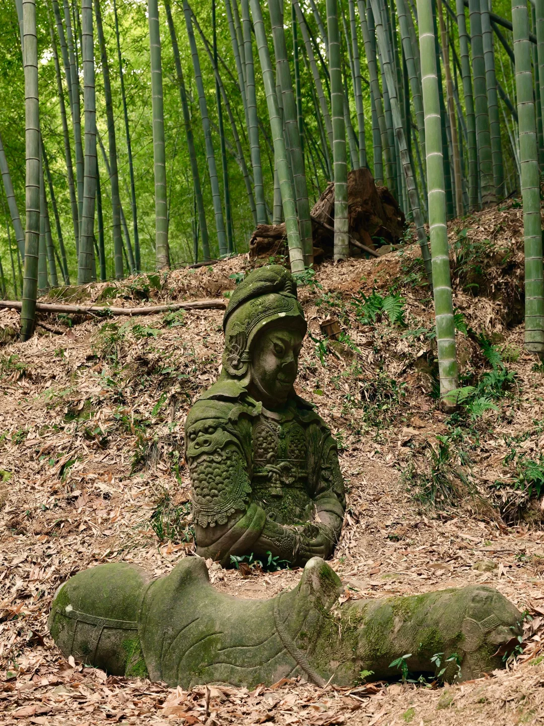 在四明湖深处，误撞了南宋石像生