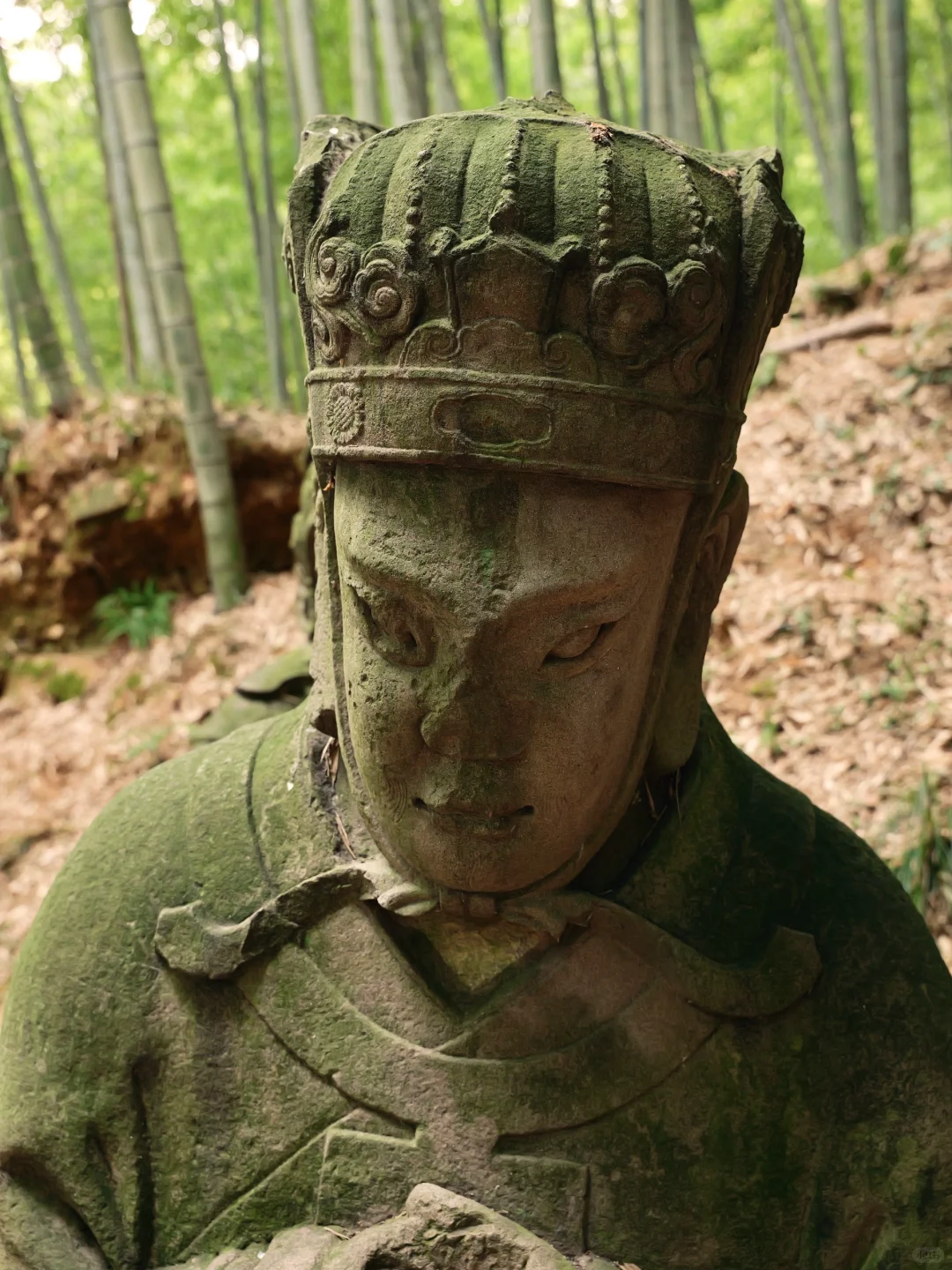 在四明湖深处，误撞了南宋石像生