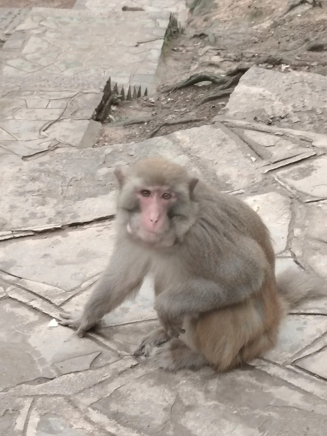 贵阳旅游攻略 黔灵山省博泉湖公园