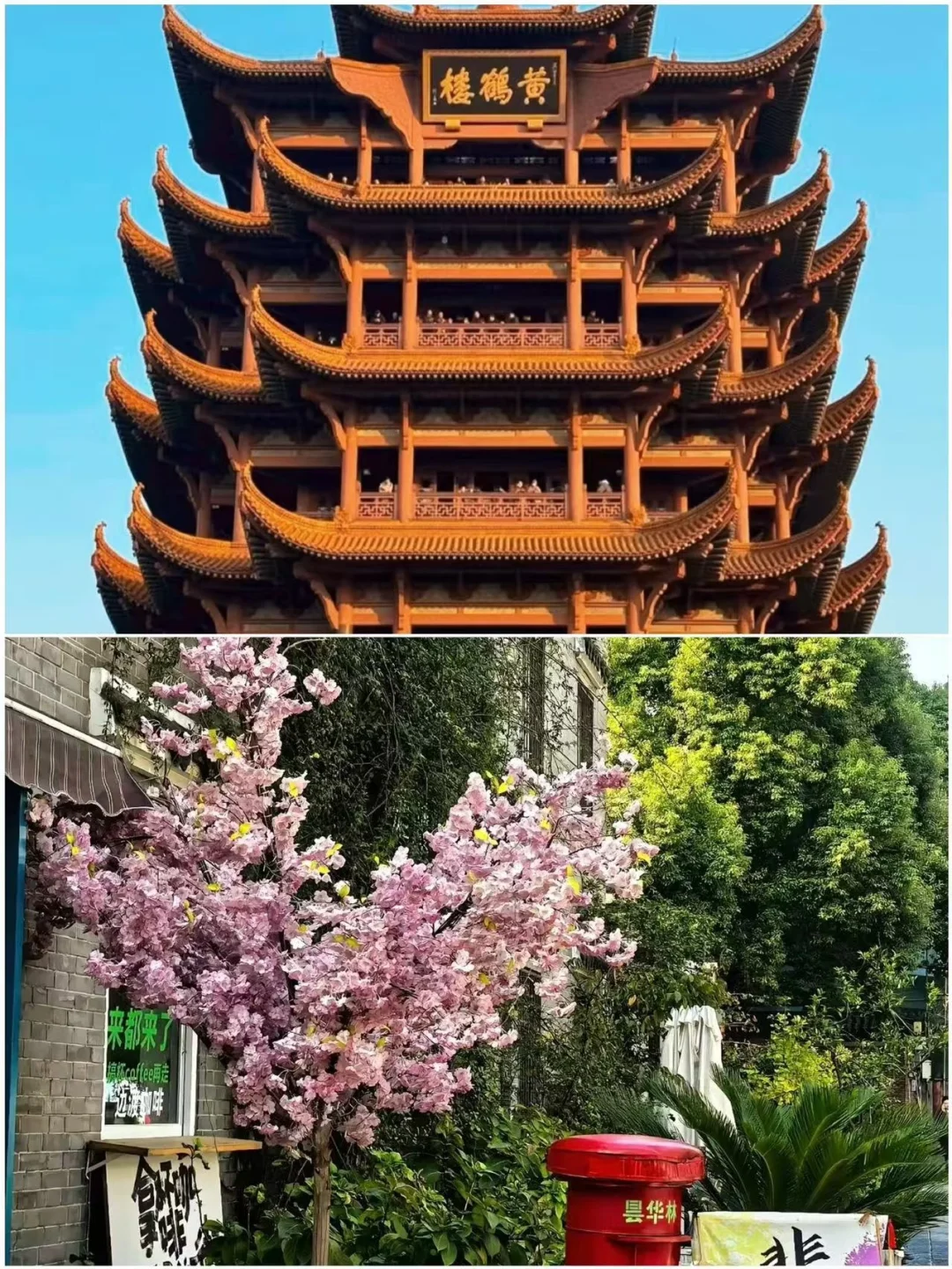 3-4月最值得去的五个城市！