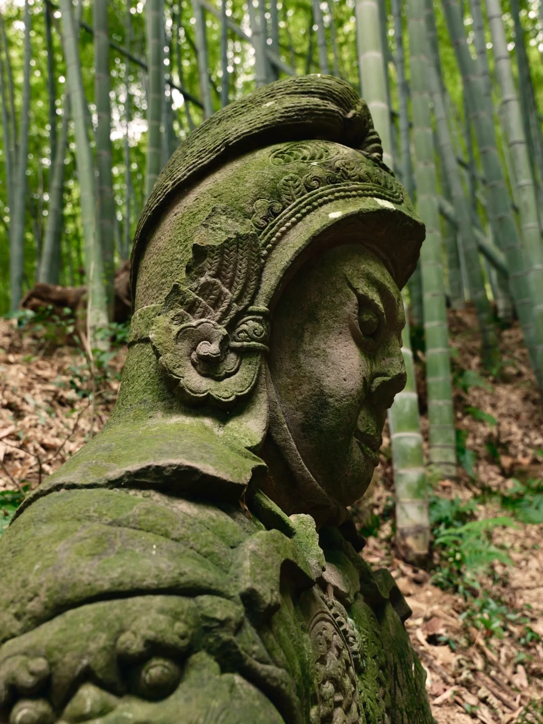 在四明湖深处，误撞了南宋石像生