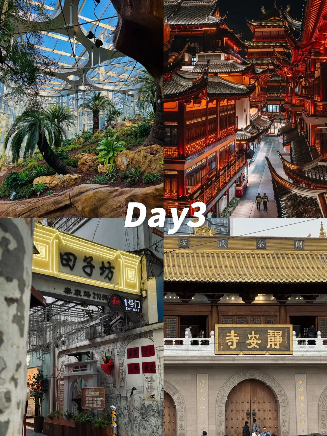 上海旅游❗❗旅游攻略的正确打开方式!