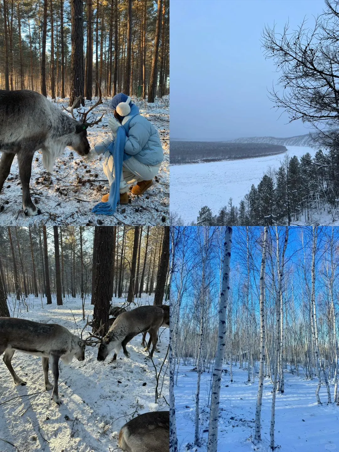 【哈尔滨长白山】保姆级攻略揭秘！😭
