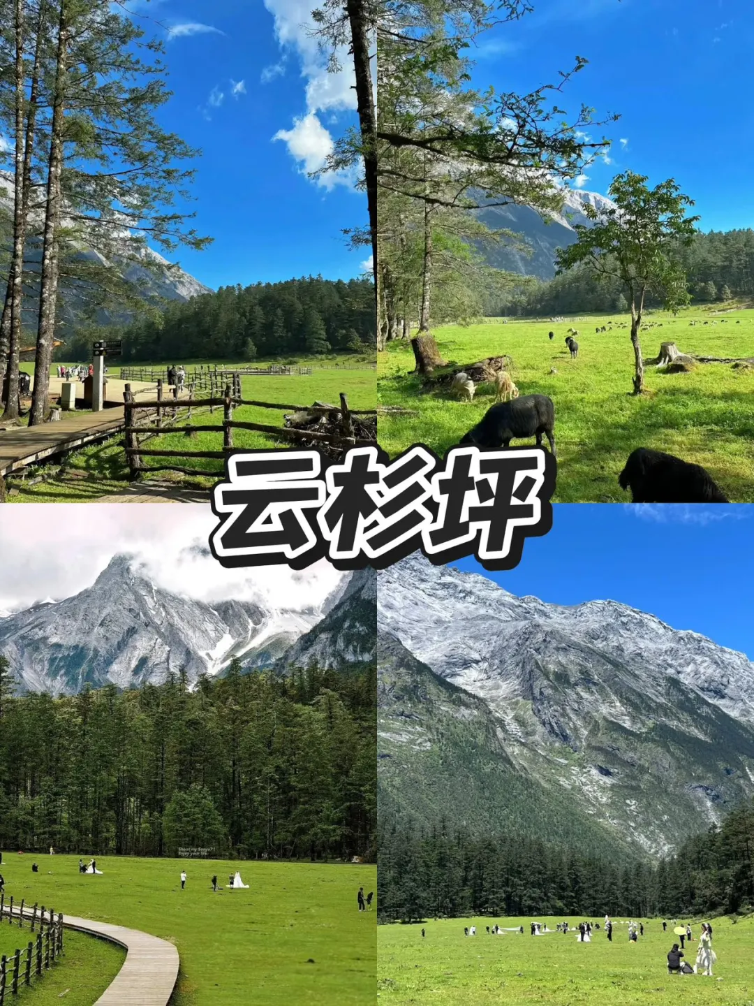 丽江省心旅游攻略📍三天两晚（附详细路线）！！