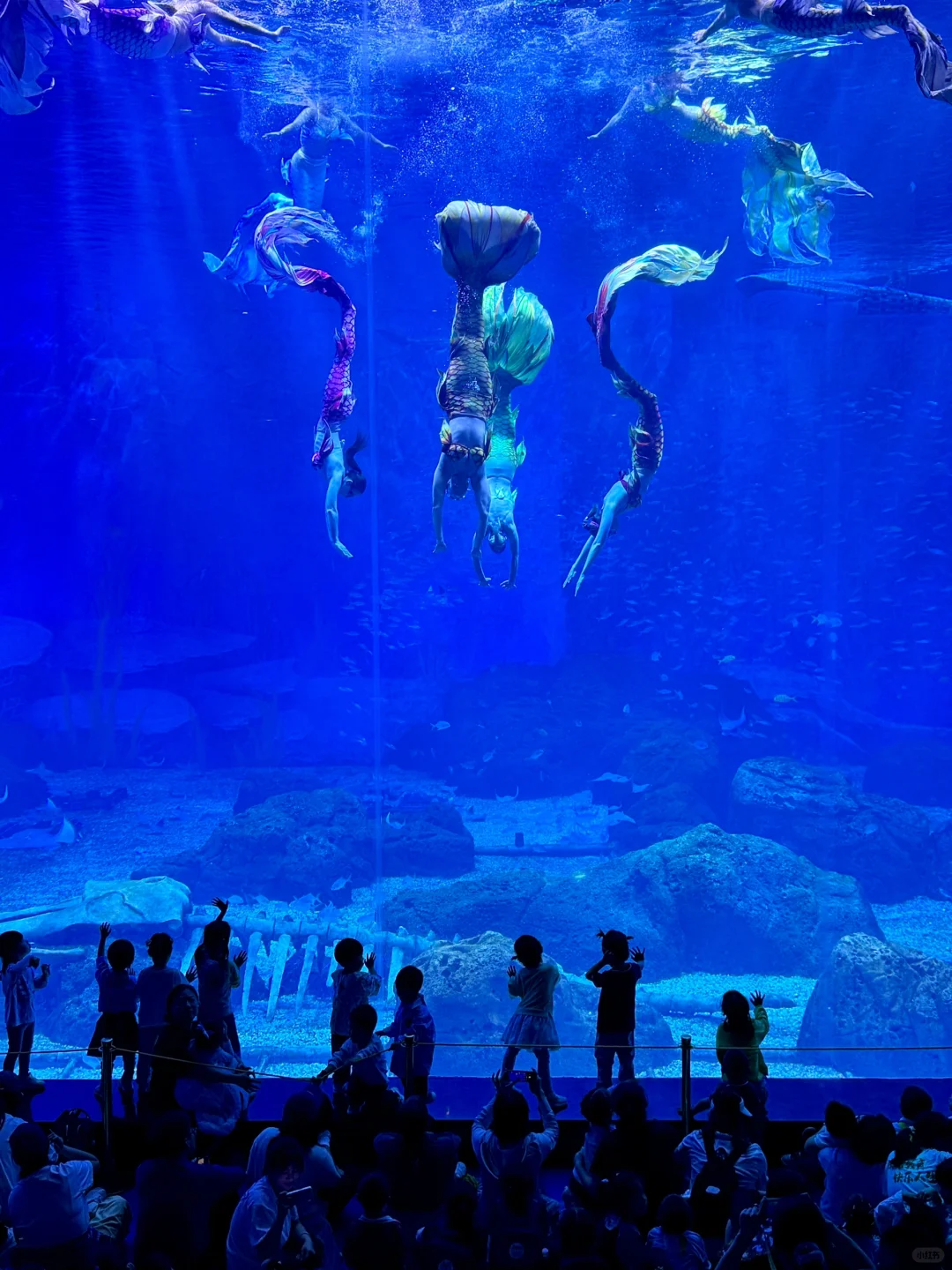 写给5月五 一来长沙的姐妹们的超全攻略