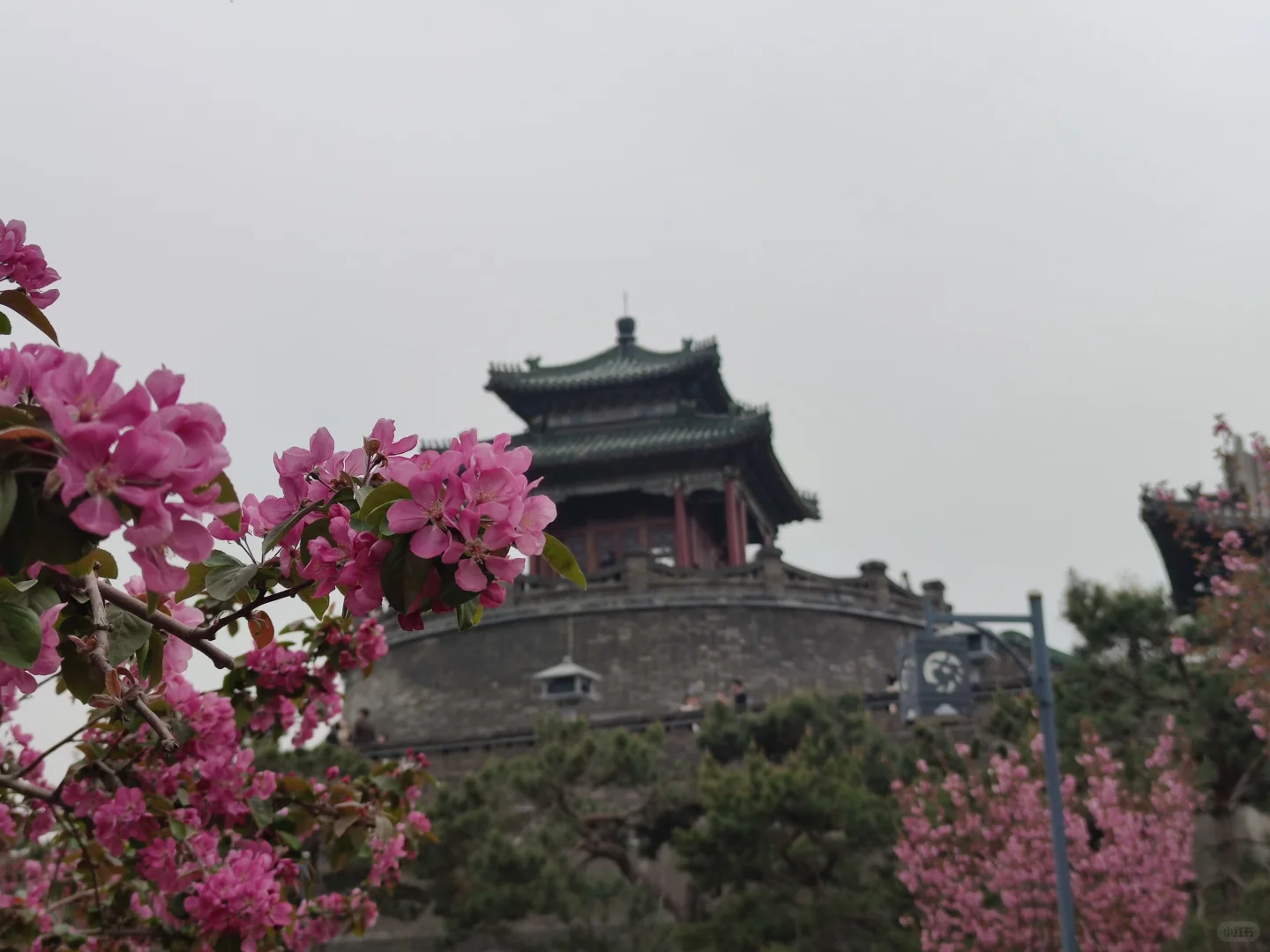 武灵丛台 | 连聚非一，历史的层叠