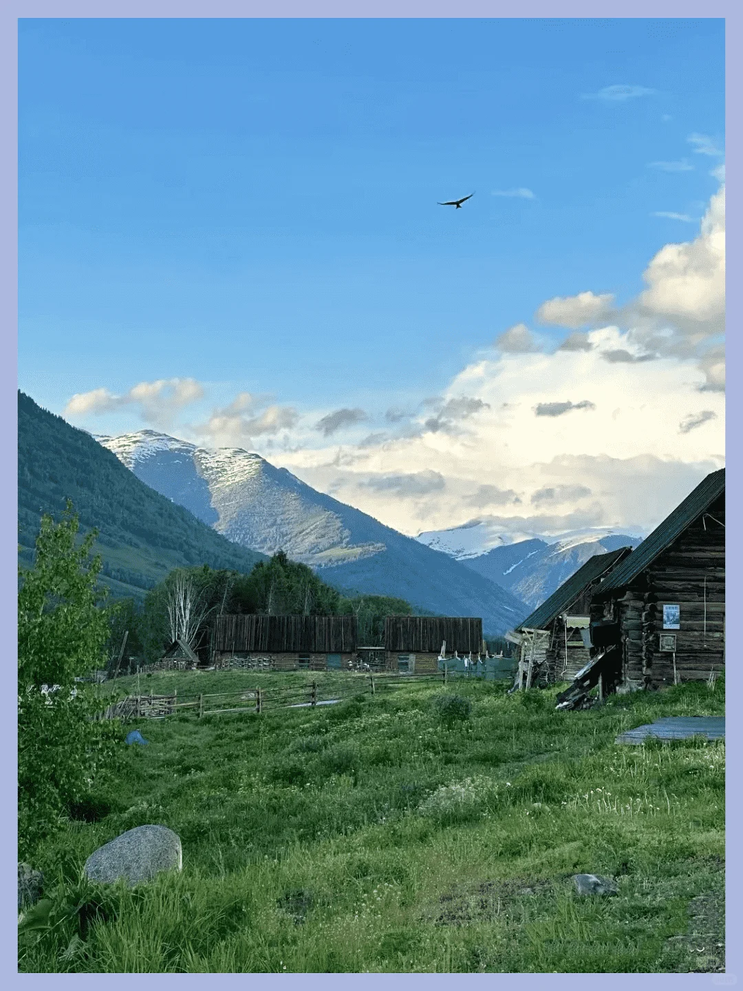 新疆草原如何选？讲明白！