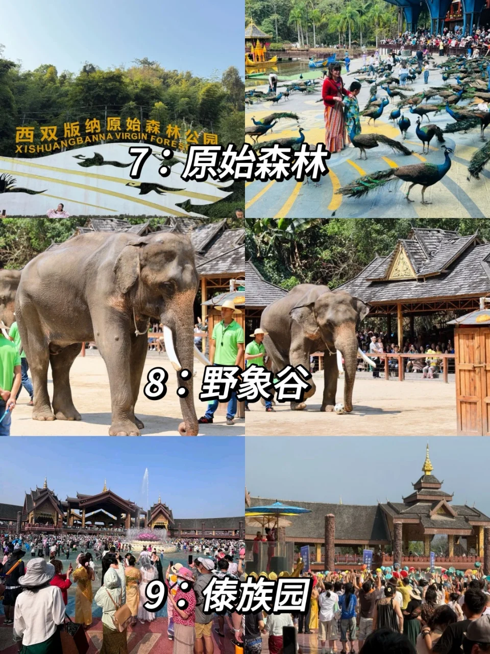 西双版纳（简版）旅游攻略|2天线路分享！！！！