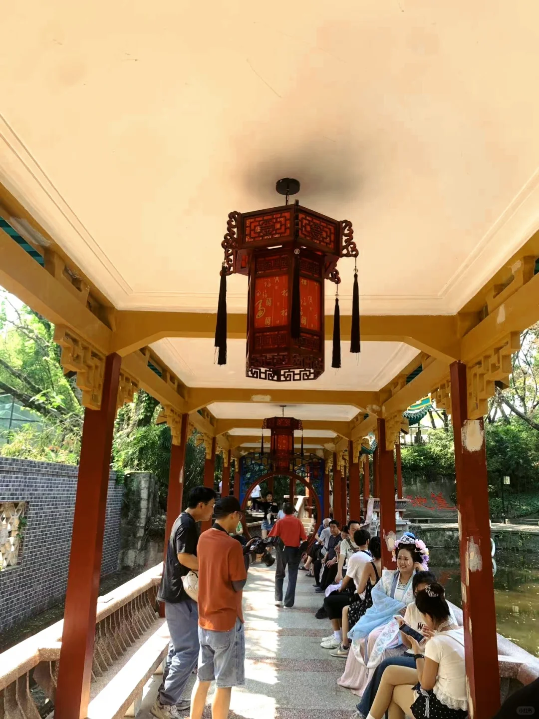 🌳鹅岭公园全攻略📸