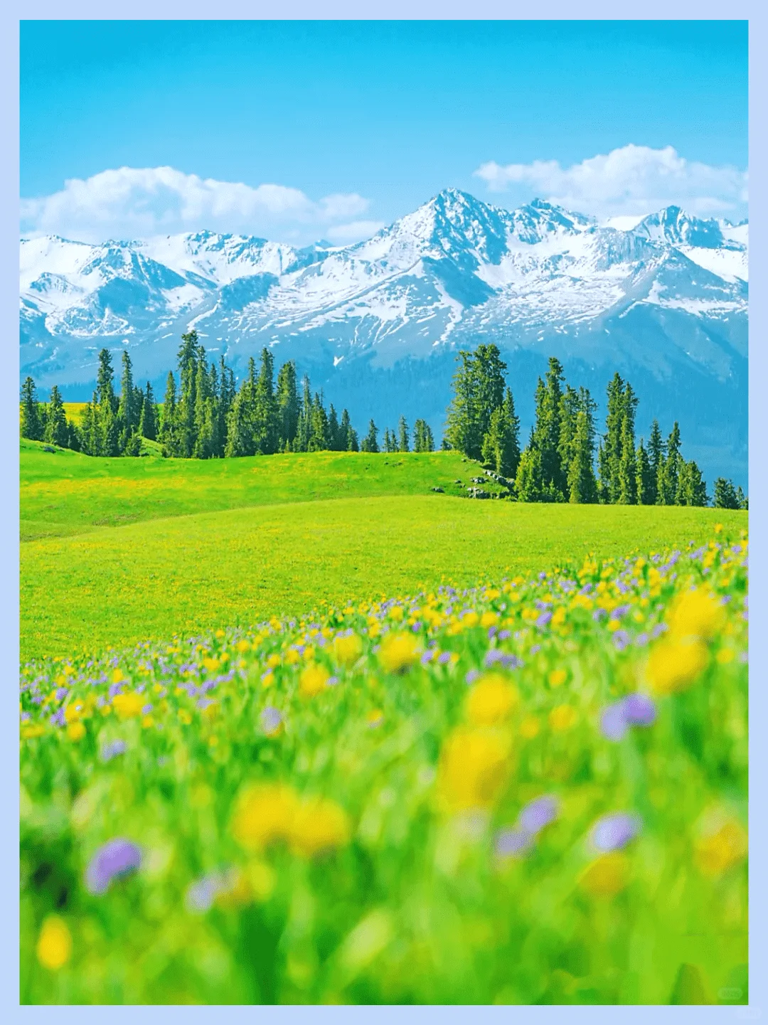 新疆草原如何选？讲明白！