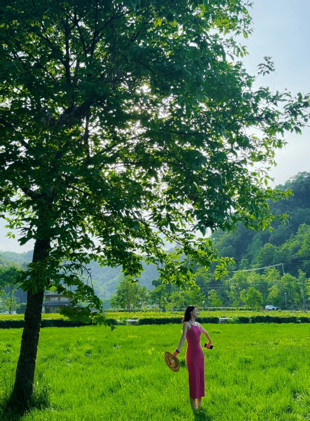 五一去陇南 | 这份攻略直接抄📸附详细机位