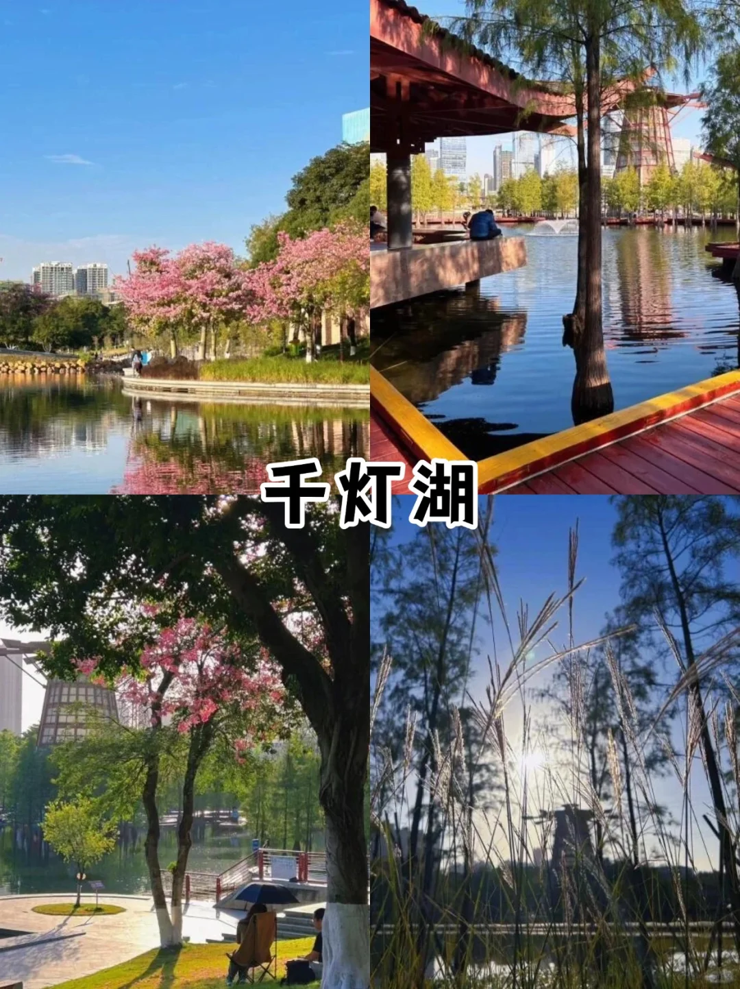佛山3天2夜旅游攻略来咯！看这一篇就够啦