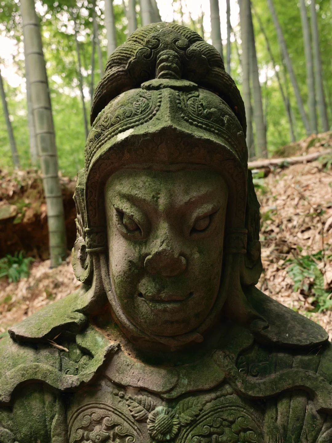 在四明湖深处，误撞了南宋石像生