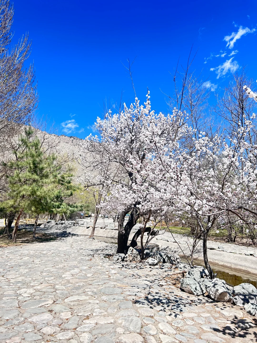 【五•一】🔥银川必去的五个景点😮快来码住