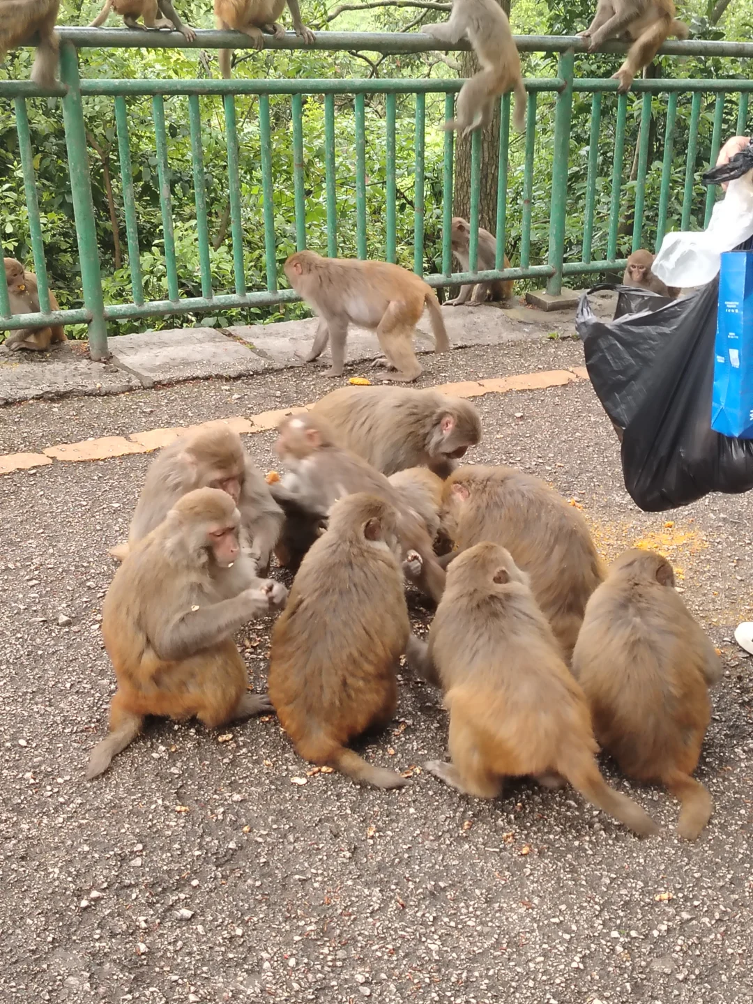 贵阳旅游攻略 黔灵山省博泉湖公园