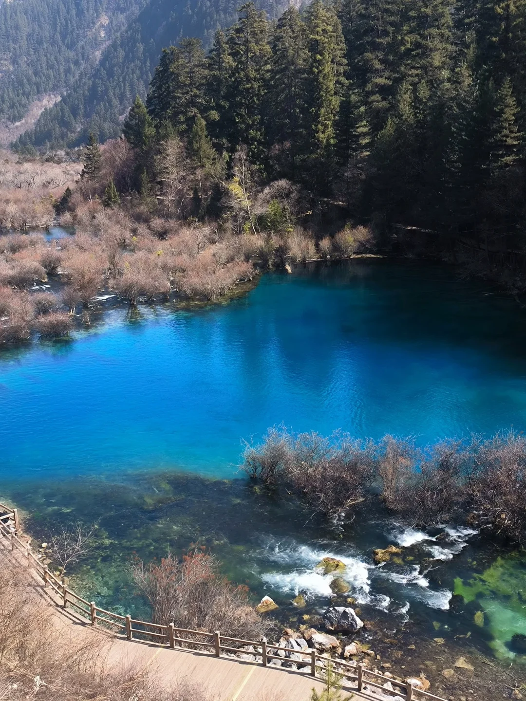 端午亲子游🔥九寨沟3天2晚不废脚攻略✅