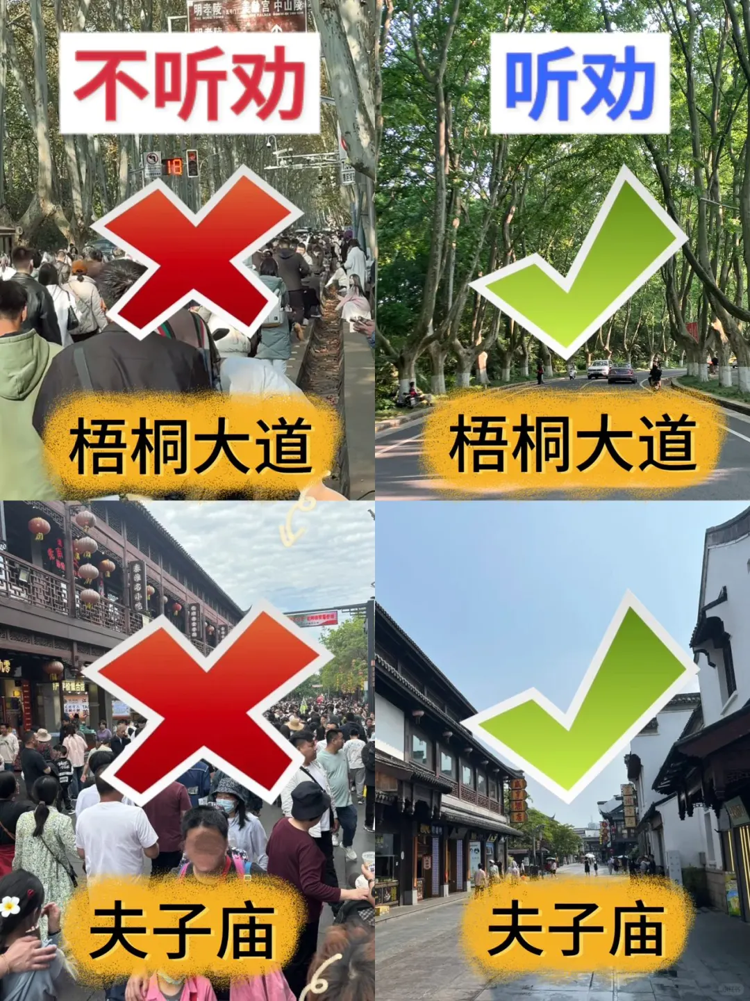 南京旅游|钟山风景区+夫子庙💥听劝🆚不听劝