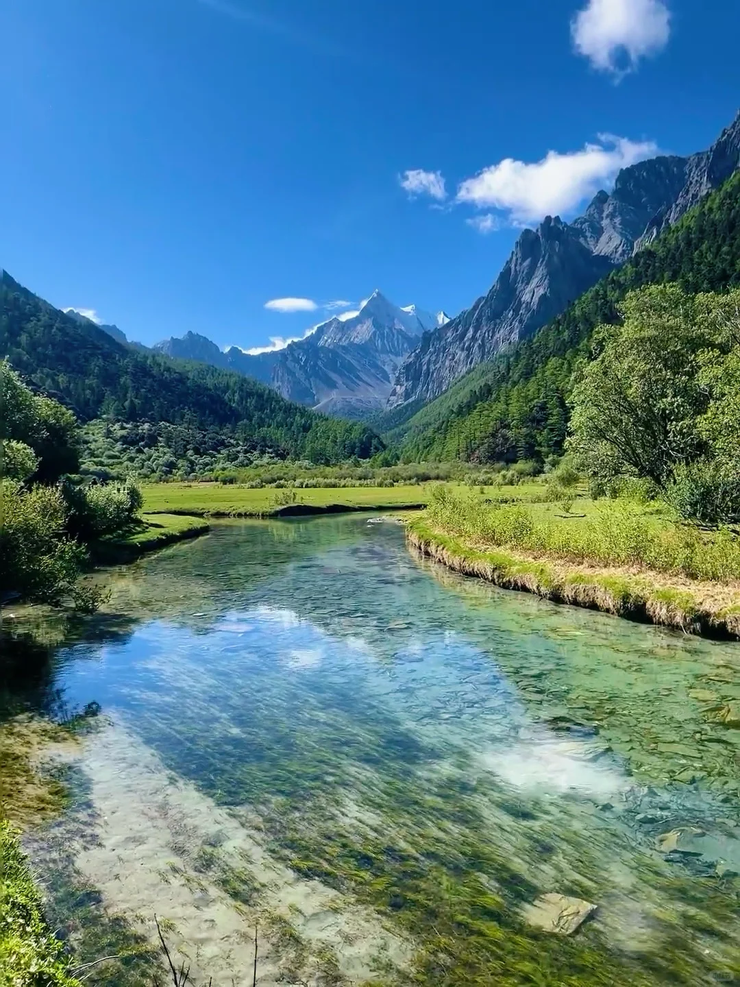 不愧是Deepseek 五一端午草原反向旅游推荐