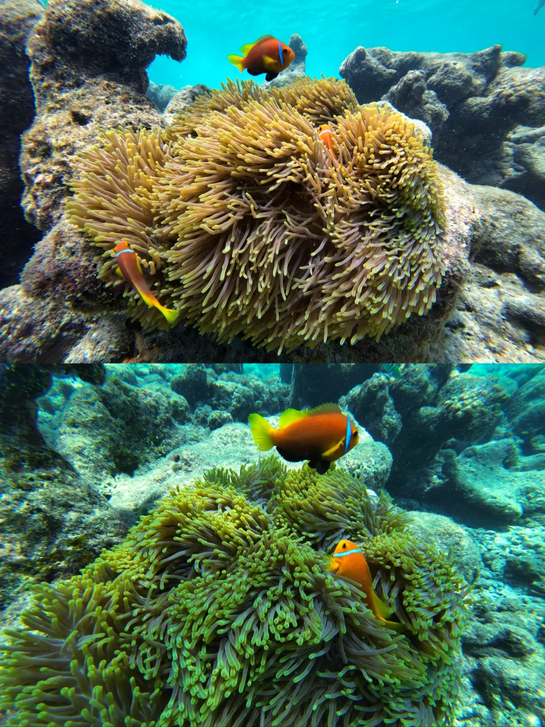 和男友在马代玩了6天，消费观真的崩塌了