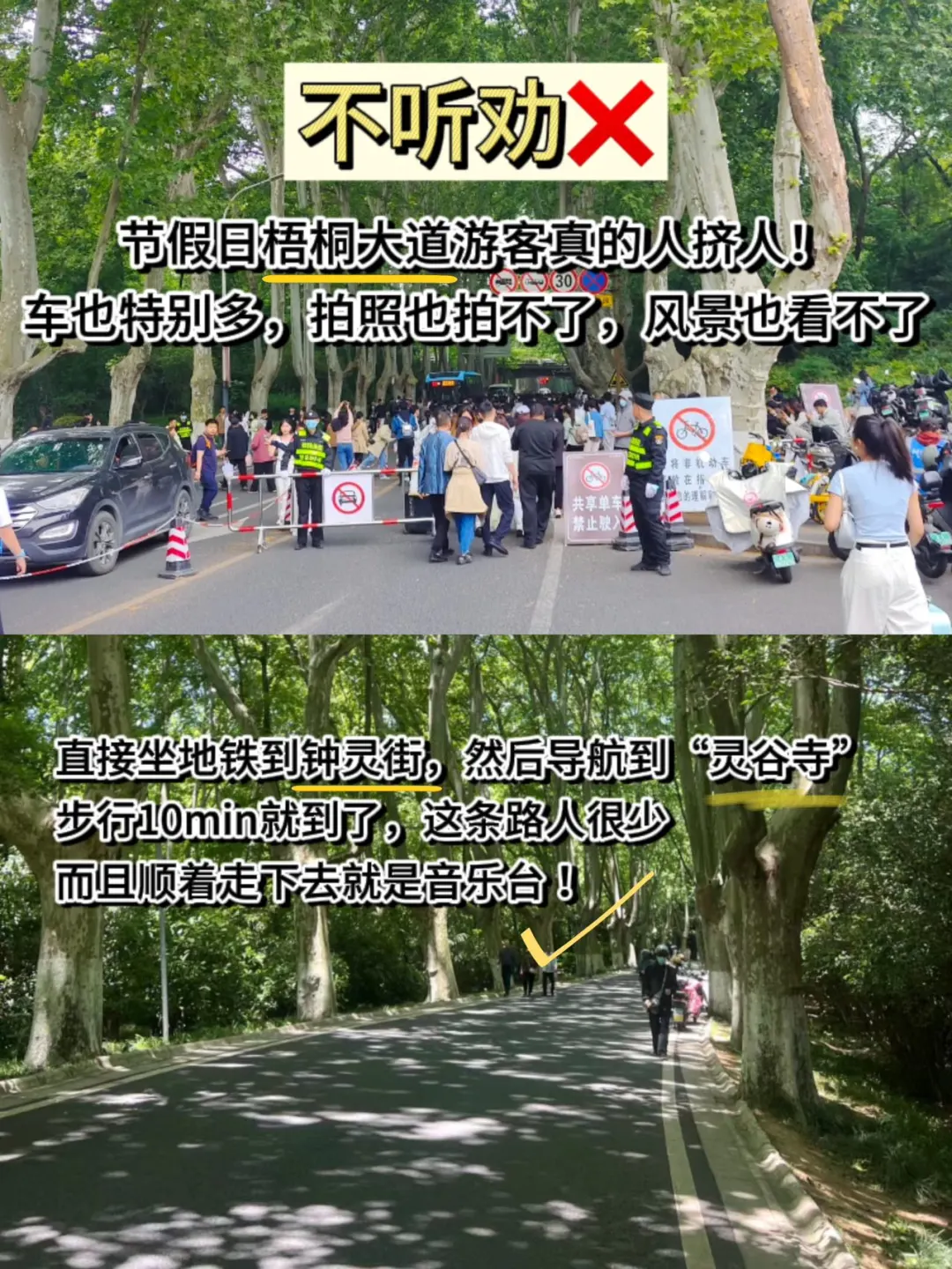 南京旅游|钟山风景区+夫子庙💥听劝🆚不听劝