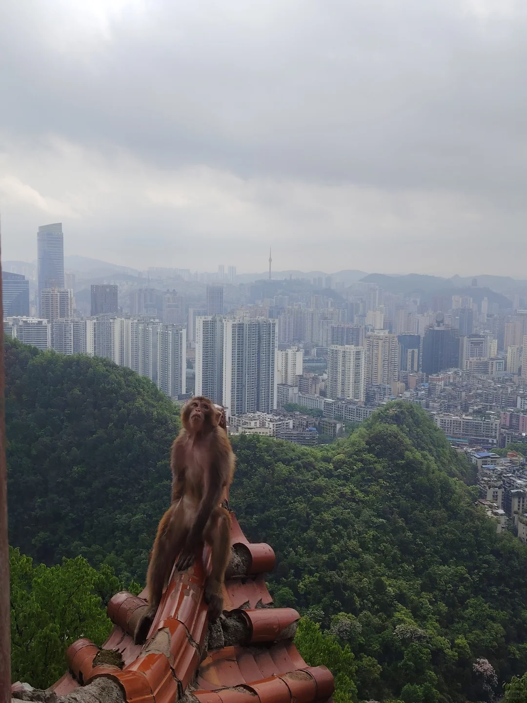 贵阳旅游攻略 黔灵山省博泉湖公园