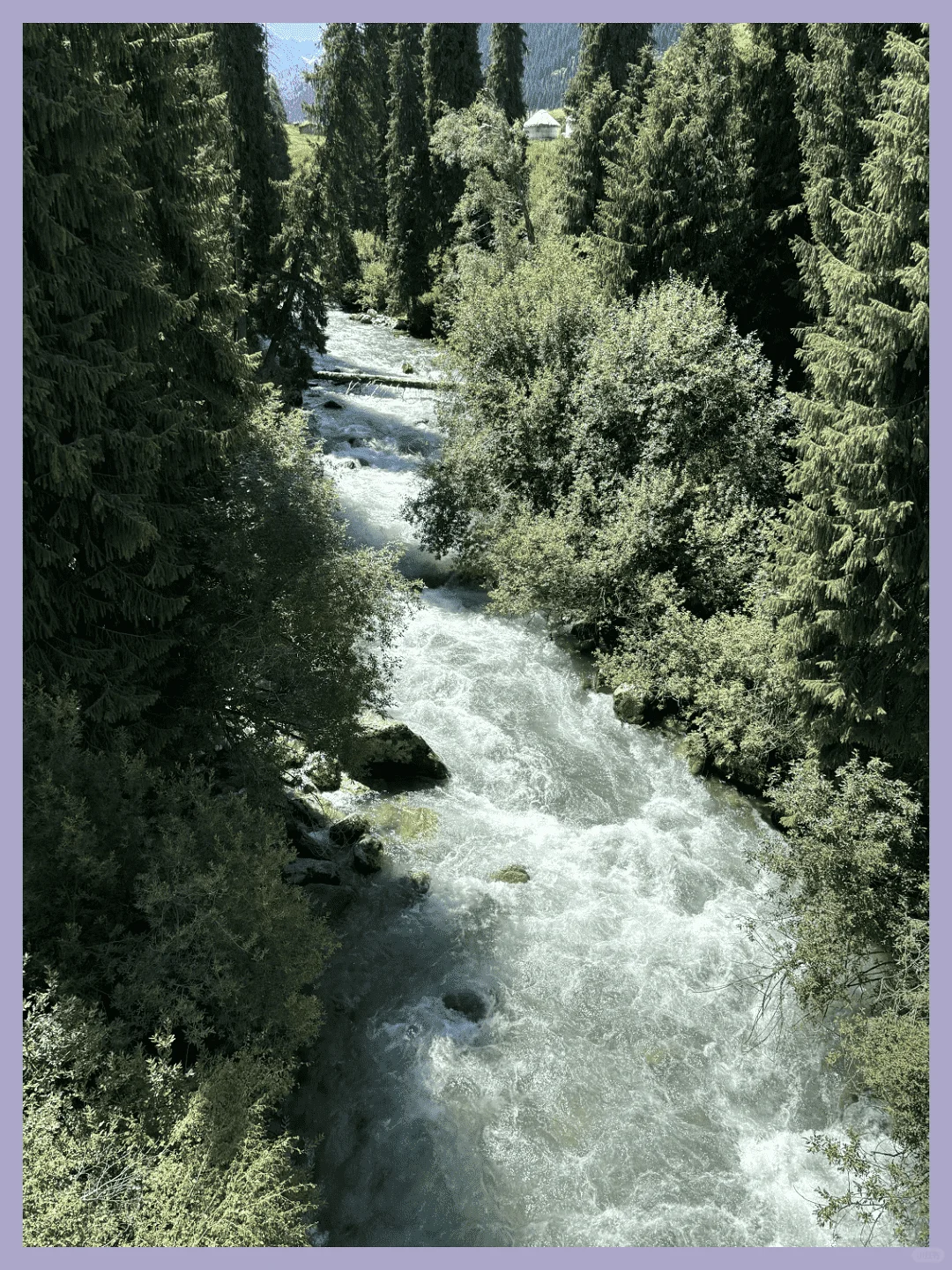 新疆草原如何选？讲明白！