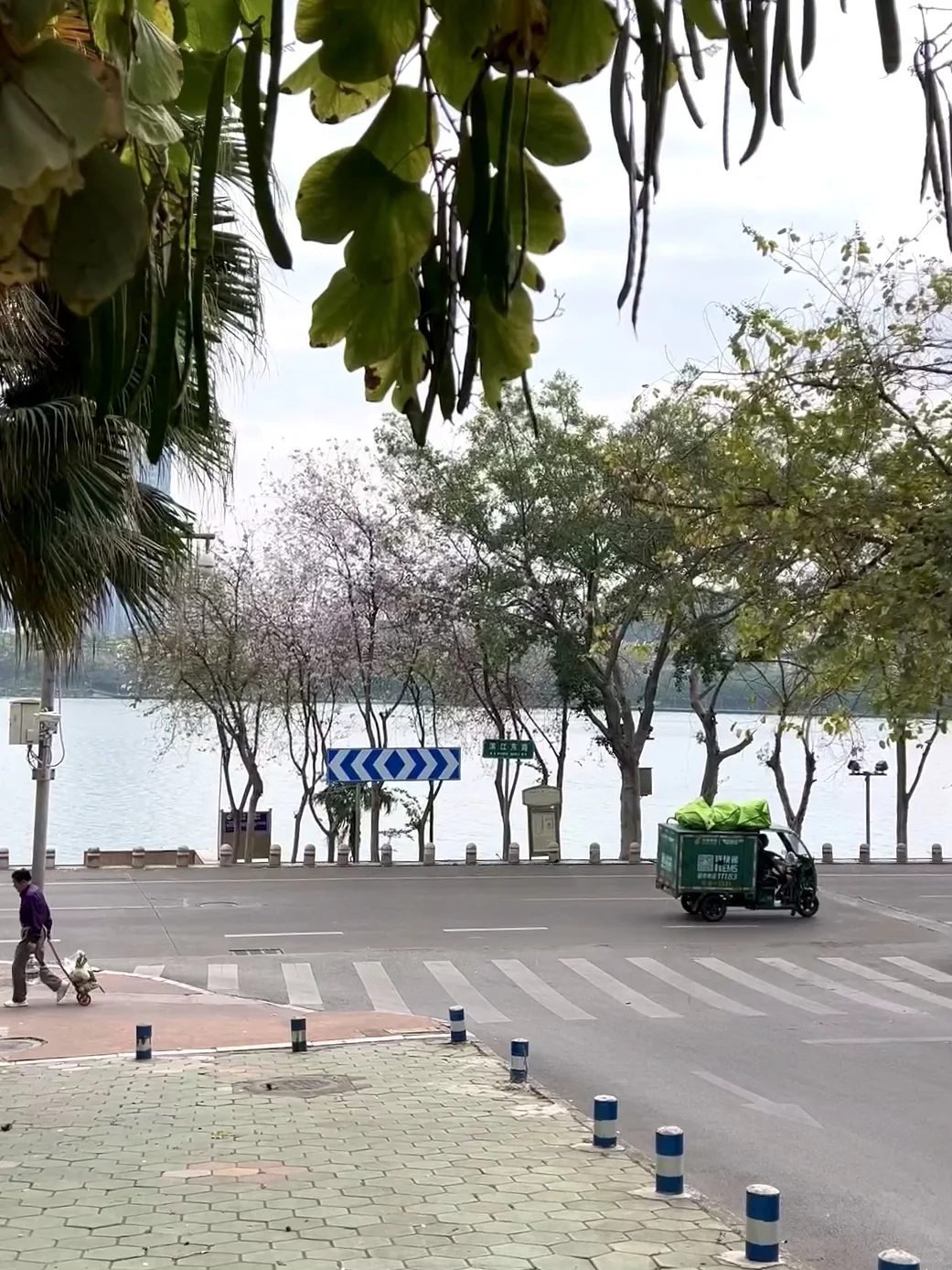 超详细柳州三天两夜旅游攻略（去粉版）