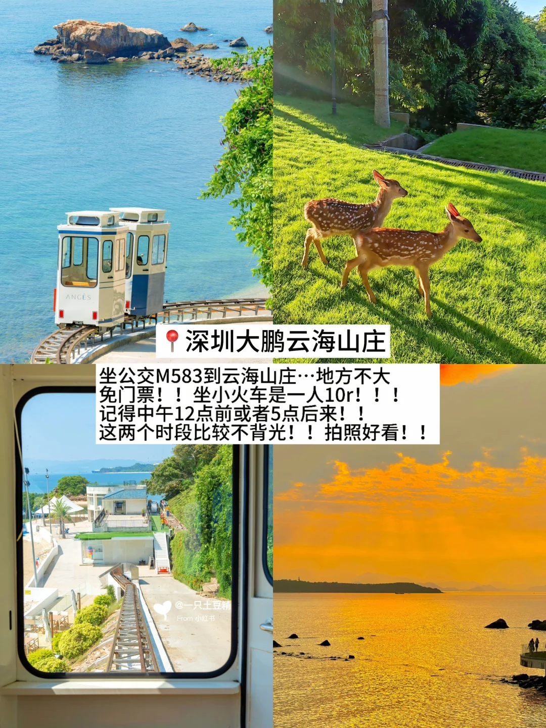 深圳📍淡季Citywalk旅游攻略！！暴走两万步！！