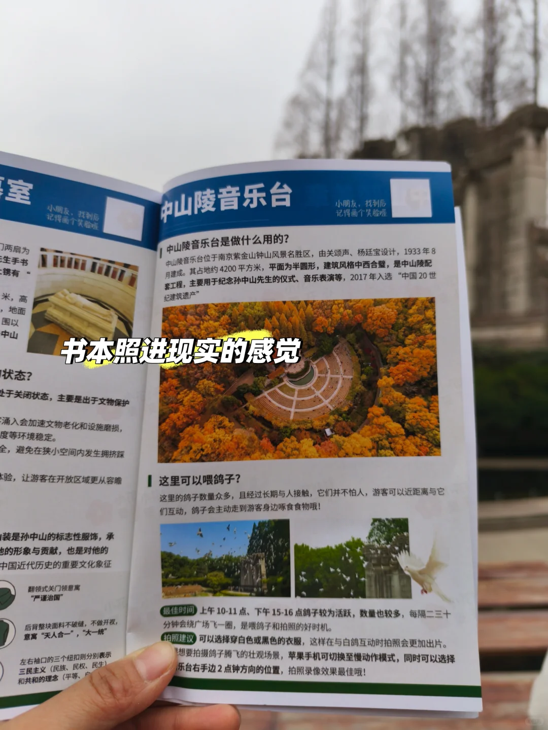 带娃去南京中山陵前不知道这些你会后悔的！