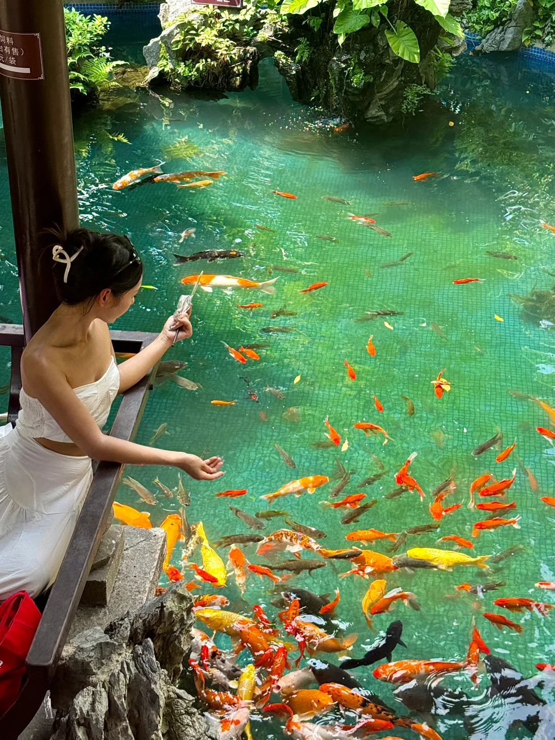 第一次去佛山‼️强烈建议复制这条一日游路线
