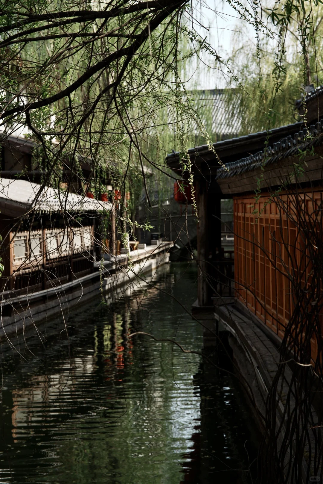 景区里的日咖夜酒🍻