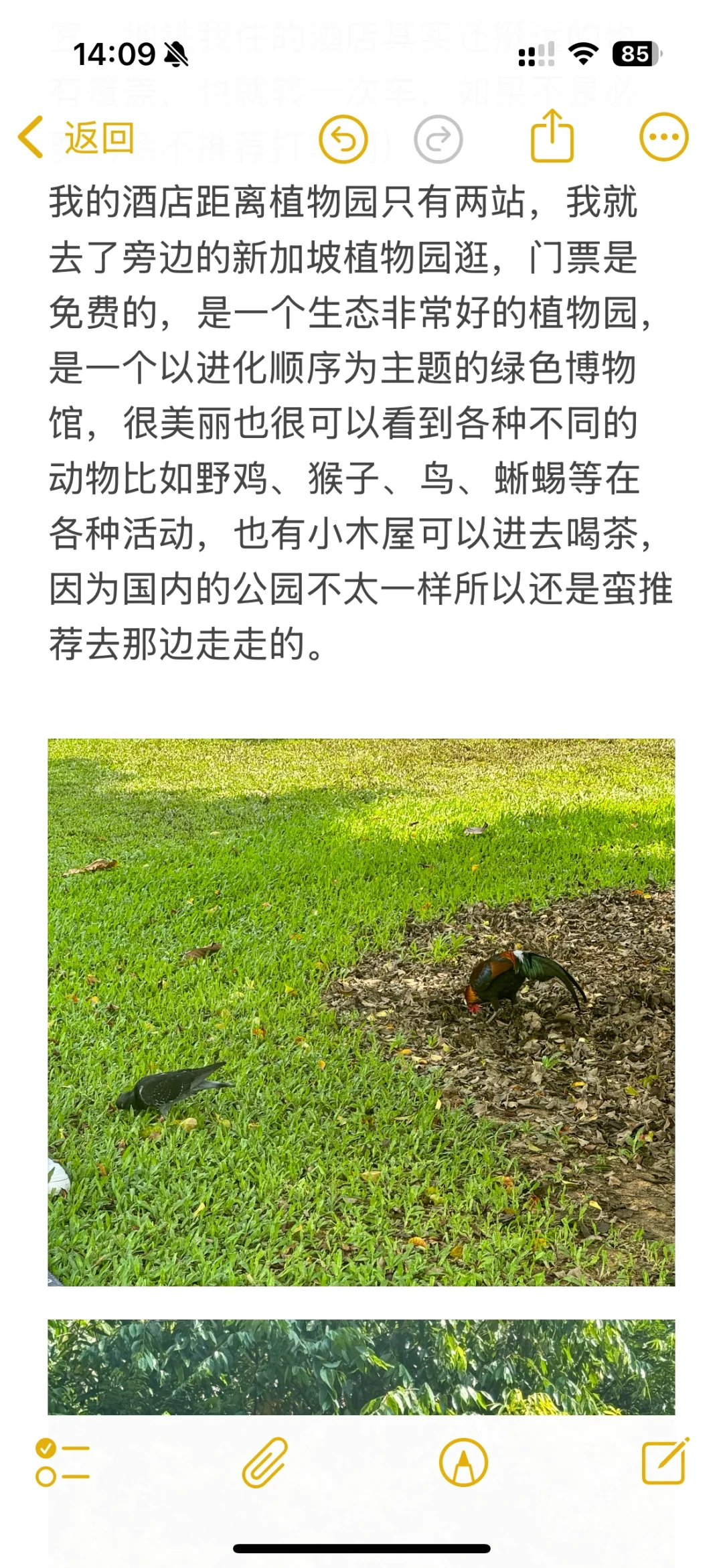 女大全能超详细的新加坡攻略！（便宜安全版）