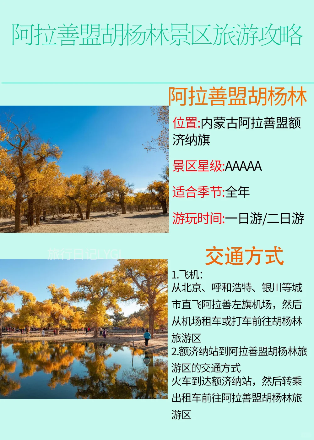 内蒙古阿拉善盟胡杨林旅游攻略