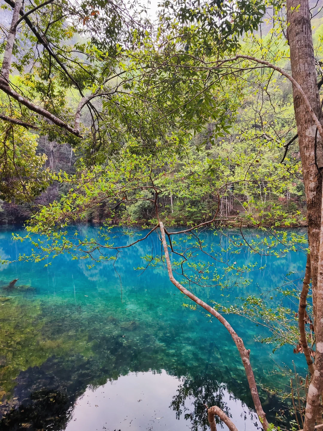 推荐一种游玩贵州的旅行方式！