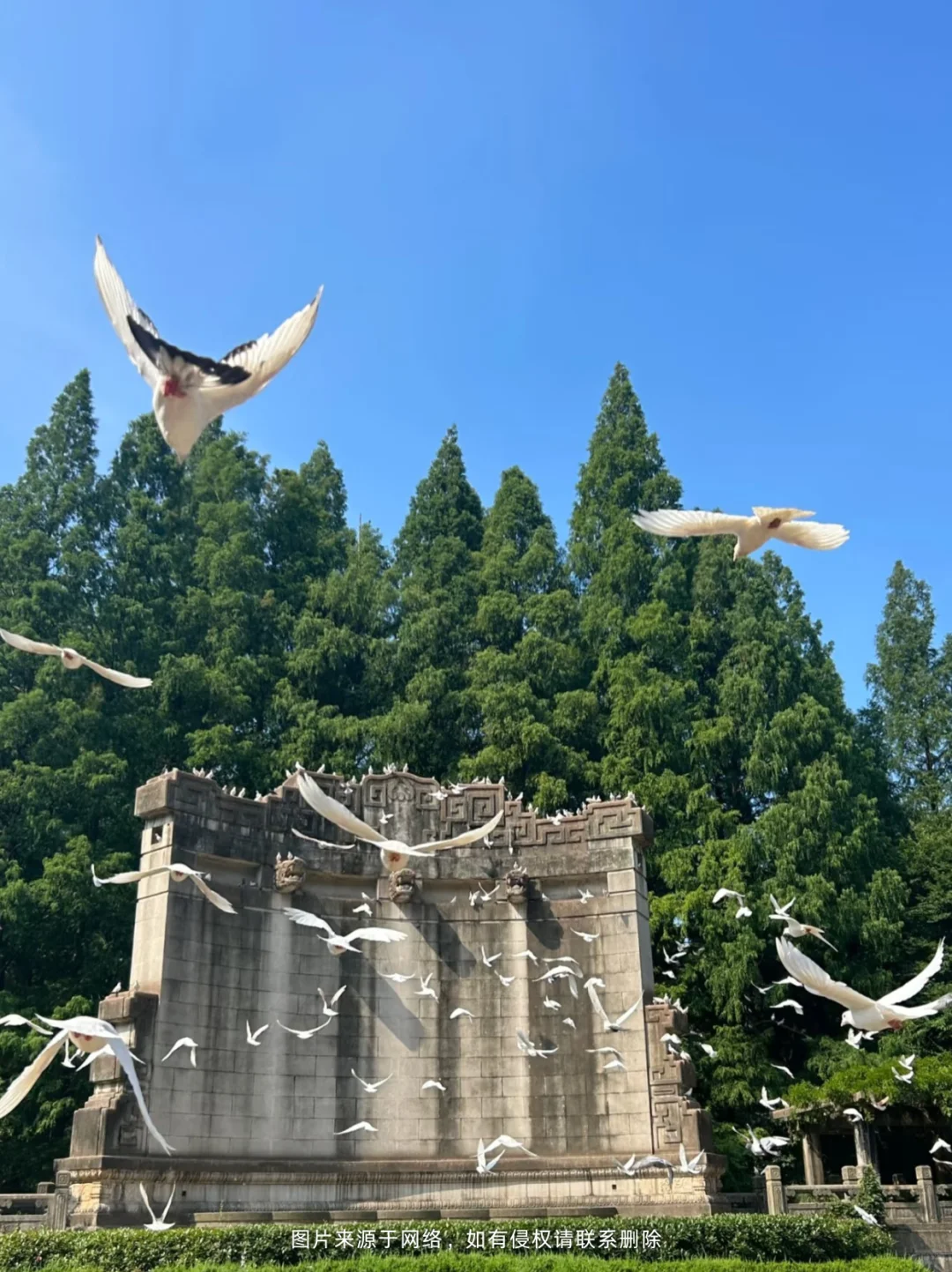 谁懂啊！五一江浙沪旅游攻略大揭秘🎉