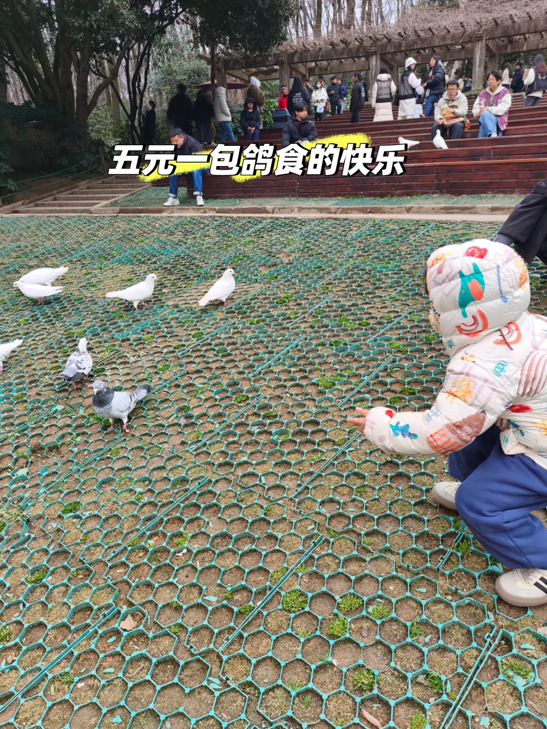 带娃去南京中山陵前不知道这些你会后悔的！