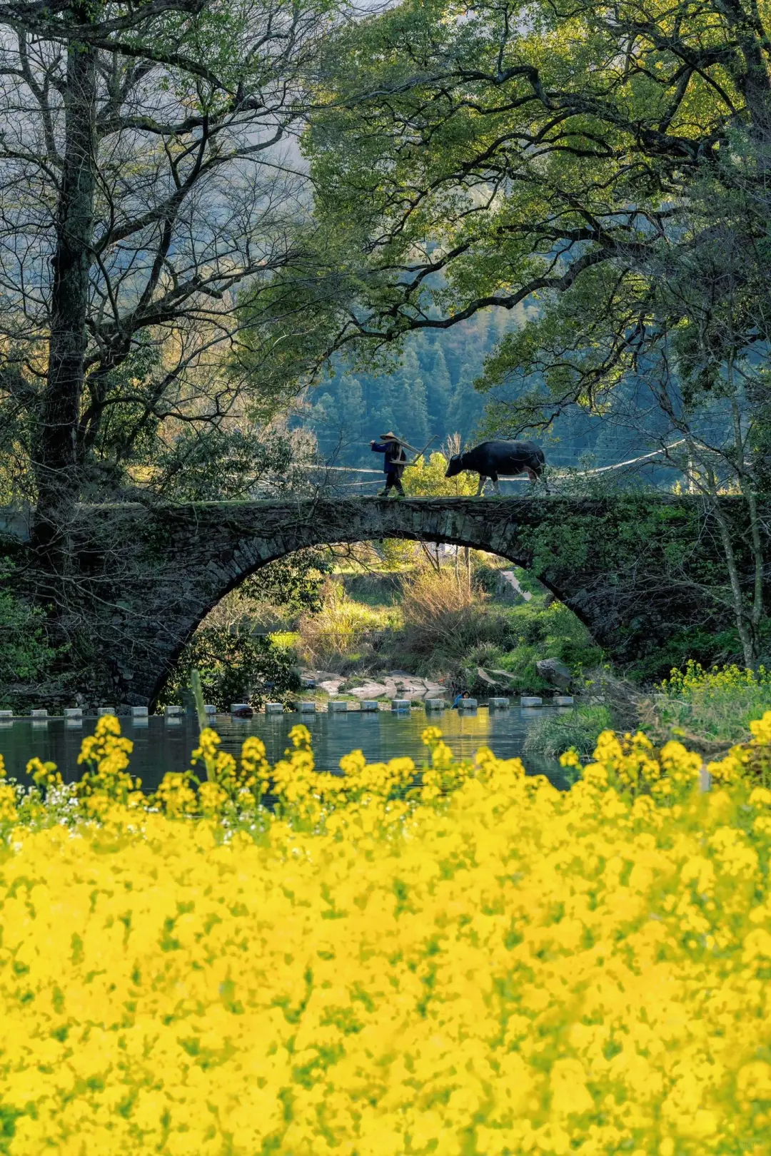 第一次去婺源千万不要把顺序搞反了