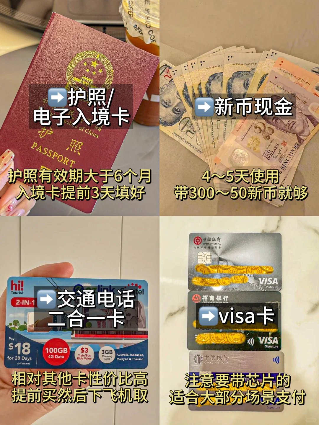 🇸🇬 新加坡3天旅游攻略！丝滑路线超简单！