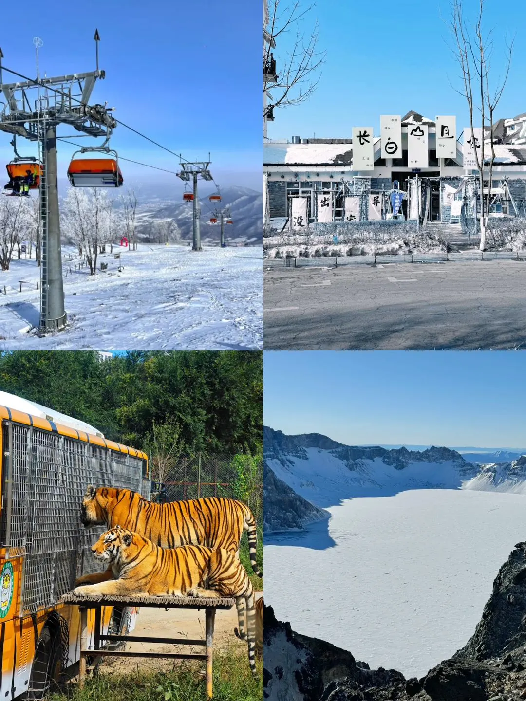 【哈尔滨长白山】保姆级攻略揭秘！😭