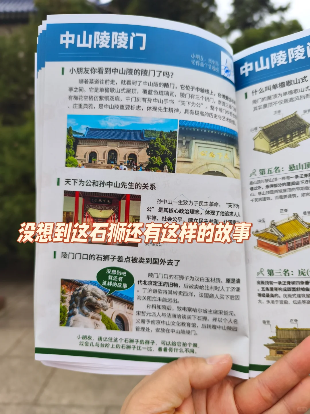 带娃去南京中山陵前不知道这些你会后悔的！