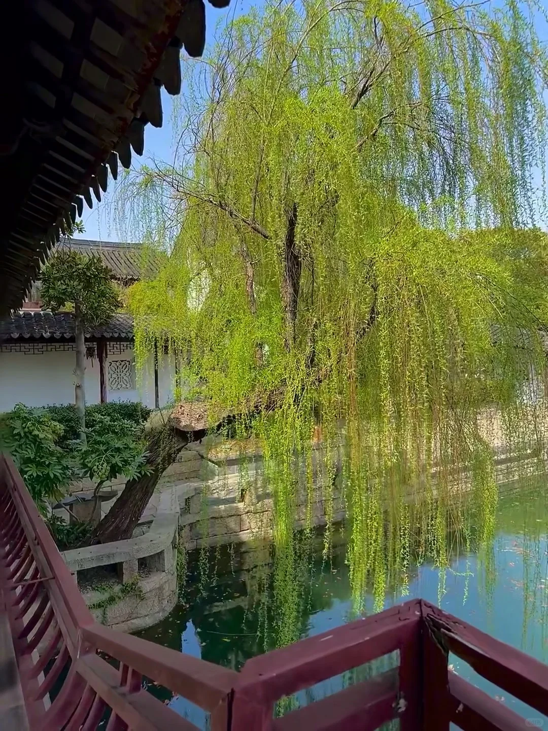 愿每个4-5🈷来苏州的宝子都能看到这篇