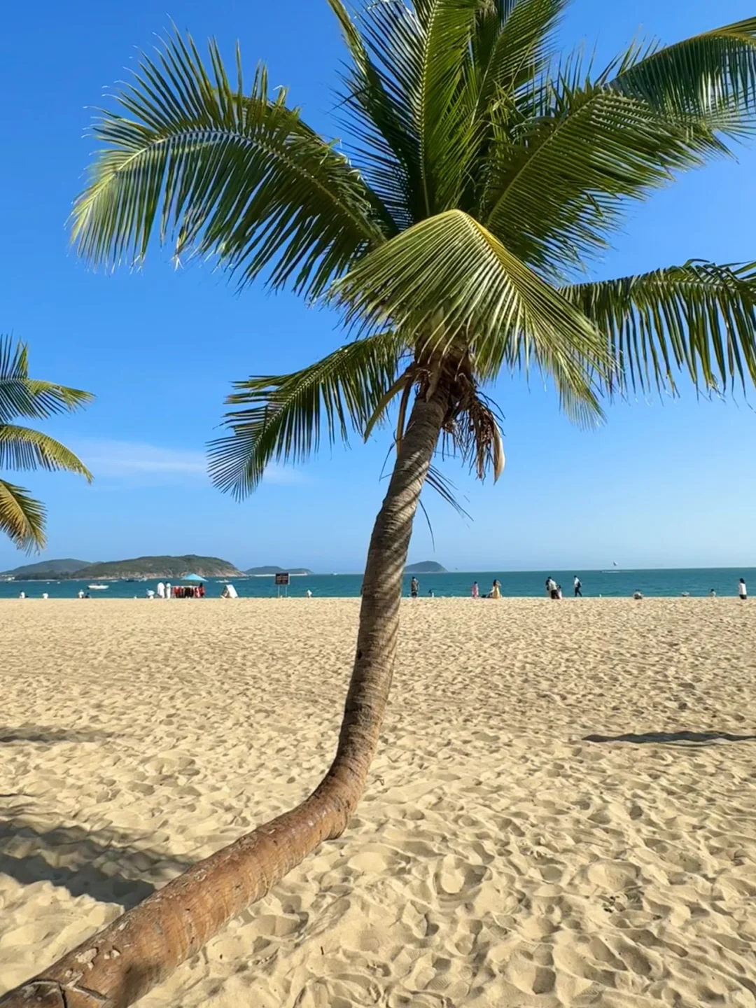 三亚已回🥹3-4月去三亚需慎重考虑