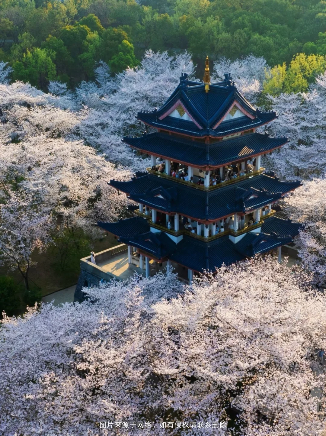 谁懂啊！五一江浙沪旅游攻略大揭秘🎉