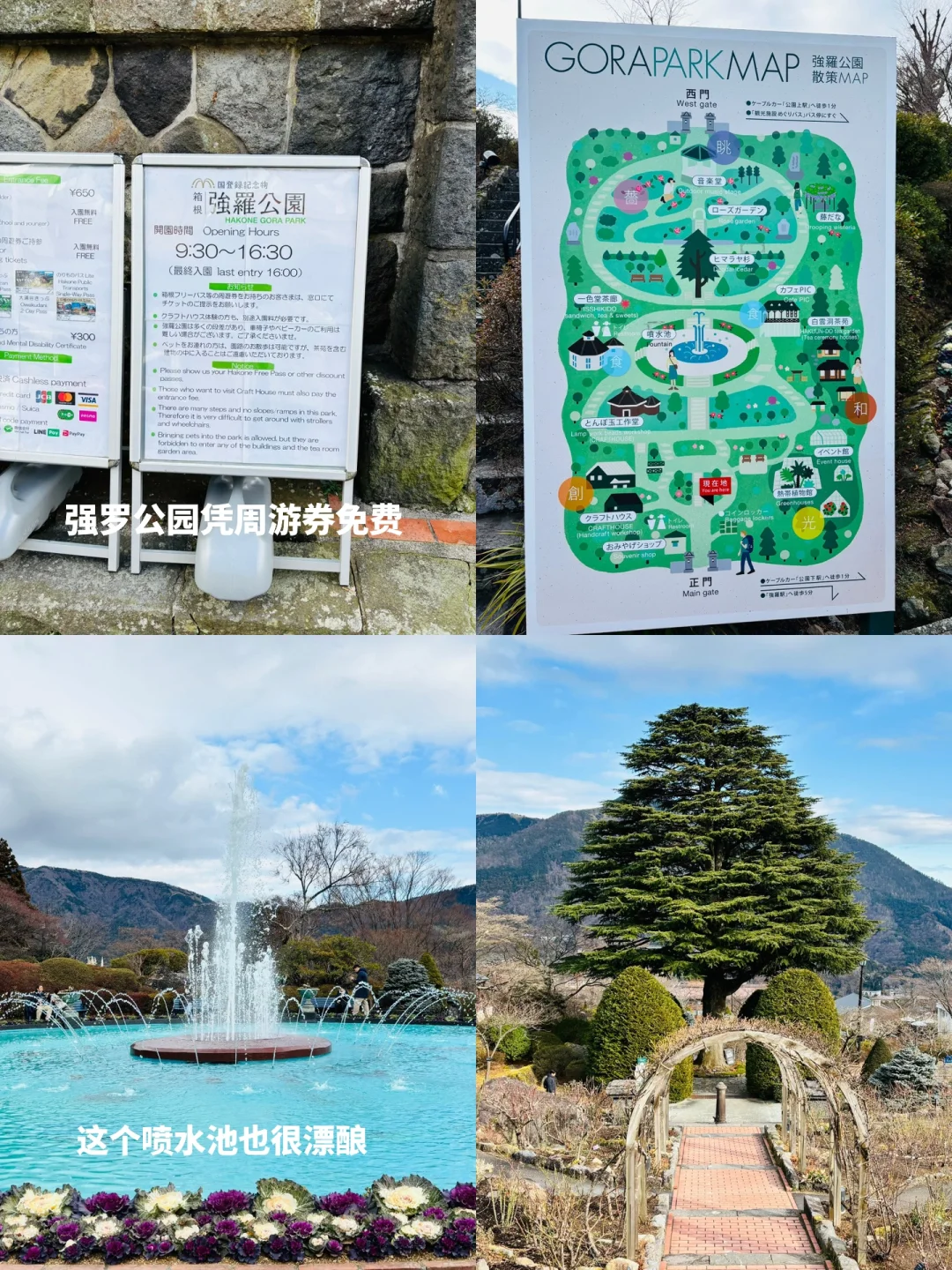 箱根｜J人精确到分钟的保姆级旅游攻略🔥