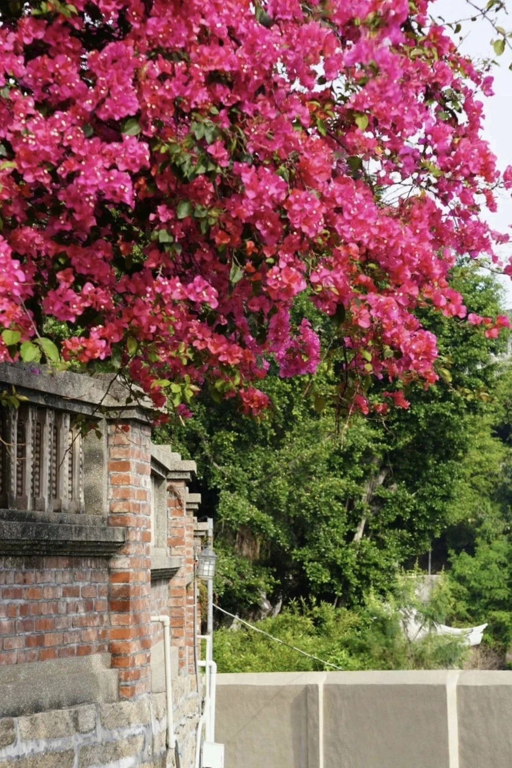 度假时光｜一个人的鼓浪屿，漫步成诗⛱️